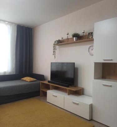 Visaginas Apartamento | Lake apartment