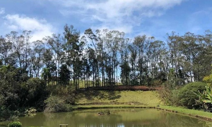 Piedade Casa | Lake with fish, stream with waterfall, swimming pool, orchard. Worth a look
