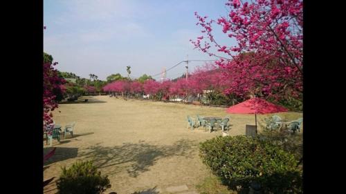 Gukeng Cabina | Lakeside Camping Resort