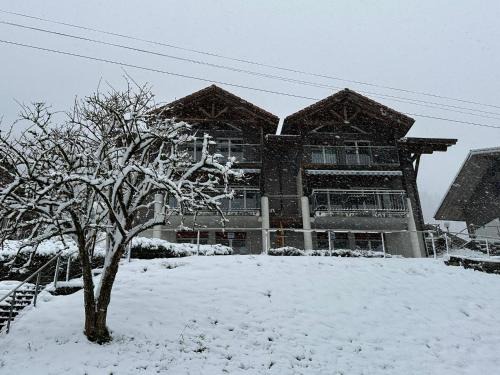 Niederried bei Interlaken Apartamento | LakeSide Villa - 18