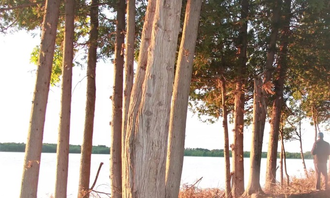 South Bruce Peninsula Casa | Lakeview campsite G