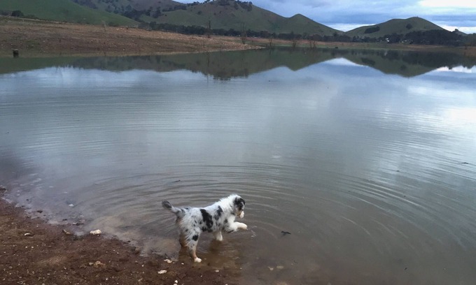Bonnie Doon Casa | Lakeview Cottage - Easy Boat Access, Dog Friendly