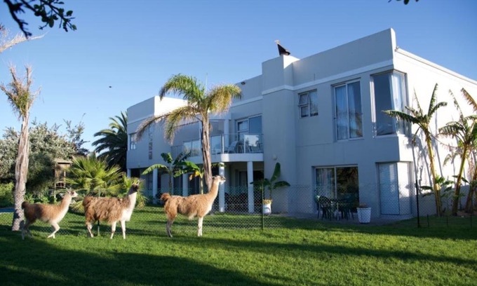 Sunset Beach Apartamento | Lamabeach city farm