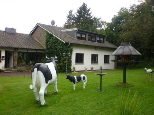 Nettersheim Apartamento | Land des Friedens in Nettersheim/Eifel
