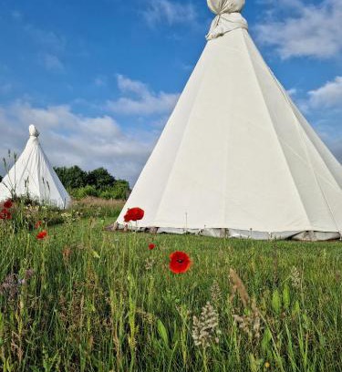 Ravels Otro | Landgoed Omorika
