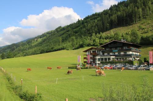 Schonbach Hotel | Landhaus Rohregger