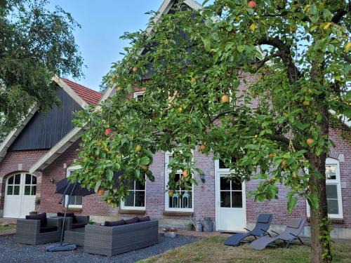 Losser Casa | Landhuis onder de lindeboom