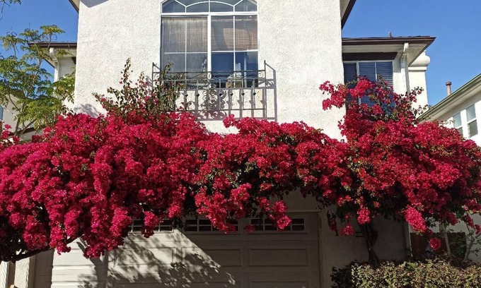 North Hollywood Casa | Large Clean Home in Safe Gated Community