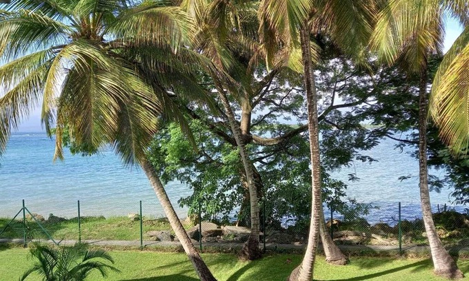 Pointe-a-Pitre Apartamento | Large, cosy studio with sea view, pool and beach