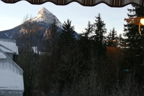 Saint-Pierre-de-Chartreuse Apartamento | Large south-facing studio
