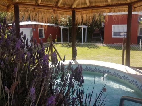 Chascomus Apartamento | las moraditas