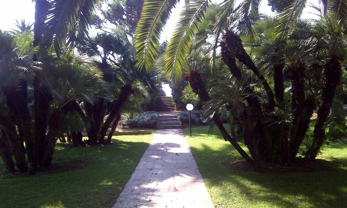 Cannes Apartamento | Palmeral con piscina junto al mar
