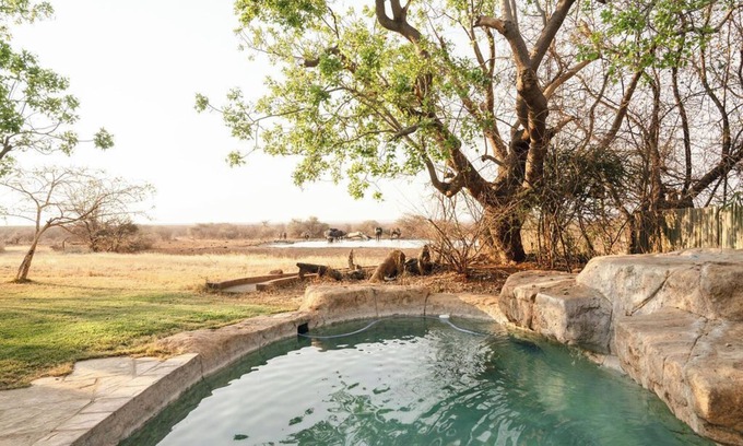 Madikwe Game Reserve Cabina | Last Word Madikwe