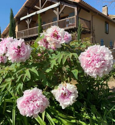 Caupenne-d'Armagnac Casa | Lauberge de Nogaro