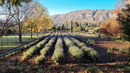 Barrydale Casa | Lavendale on Laing