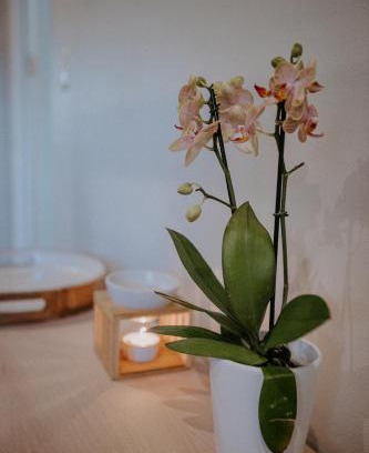 Berea Cama Y Desayuno | Lavender BnB