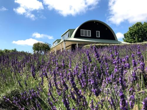 Riverhead Cama Y Desayuno | Lavender Hill