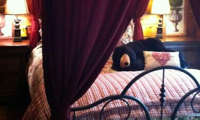 Idyllwild Cabaña | Lazy Bear Lodge, SPA, Private Deck, WIFI Dogs OK