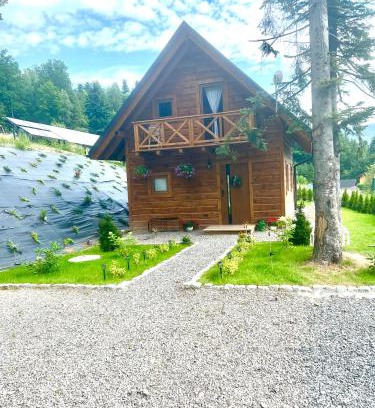Brenna Apartamento | Leśny Domek