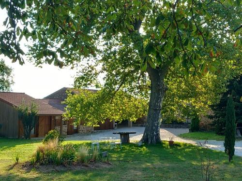 Cheminas Casa | Le Clos de Ceintres