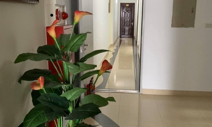 District 6 Hotel | Le Dai Phat Hotel Q6 - by Bay Luxury
