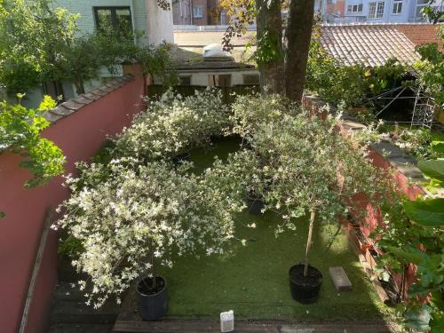 Ixelles Apartamento | Le Flagey green place