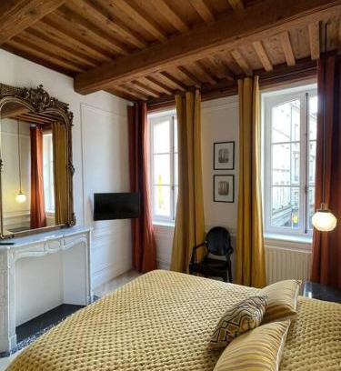 Metz-Centre – Ancienne Ville Apartamento | Le Grand Cerf By La Chambre à Côté