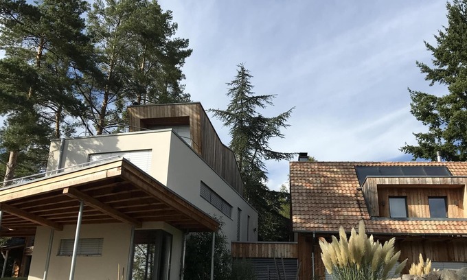 Osenbach Casa | El Holzberg (8 a 12 personas) - spa, la sauna y la naturaleza 20min Colmar