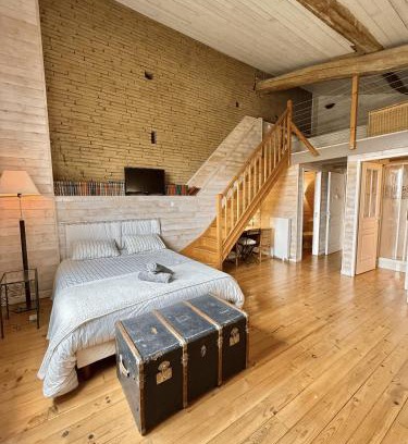 Toulouse Apartamento | Le Loft de l'Artisterie