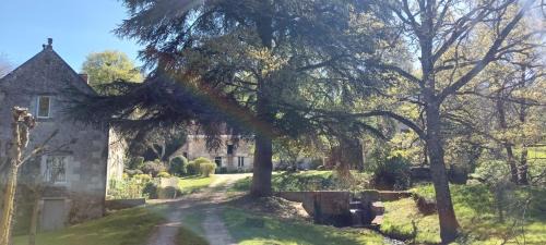 Saint-Georges-sur-Cher Cama Y Desayuno | Le moulin du Mesnil