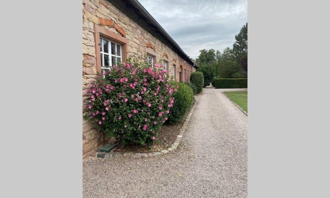 Gresswiller Apartamento | LE MOULIN DE GRESSWILLER