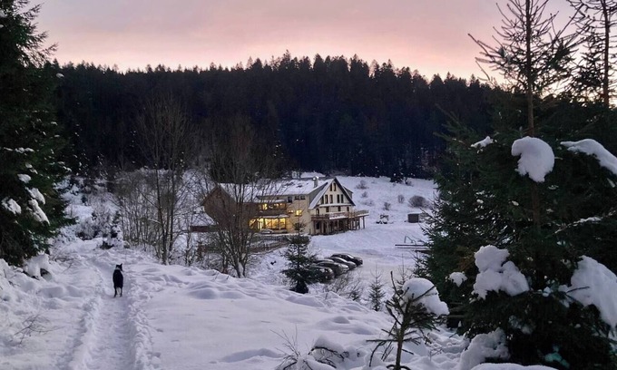 Ban-sur-Meurthe-Clefcy Apartamento | Le Perchoir 9 people, Grand Valtin, full nature