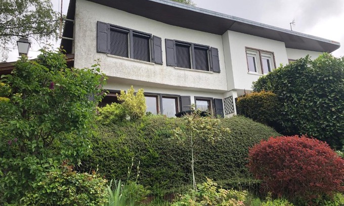 Dabo Casa | LE PETIT RENARD