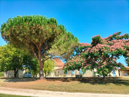 Condom Casa | le Pigeonnier gersois