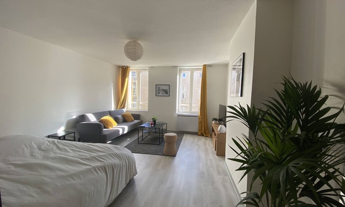 Poincare - Foch - Anatole France - Croix de Bourgogne Apartamento | LE POINCARE APARTMENT 1min from the train station
