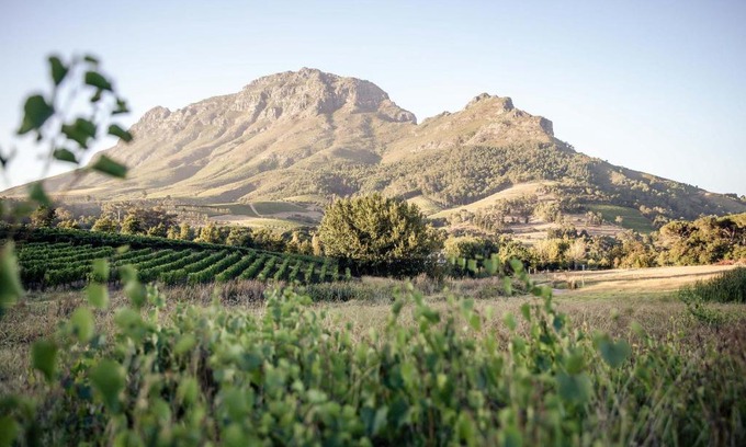 Cape Winelands Cabina | Le Pommier Wine Estate