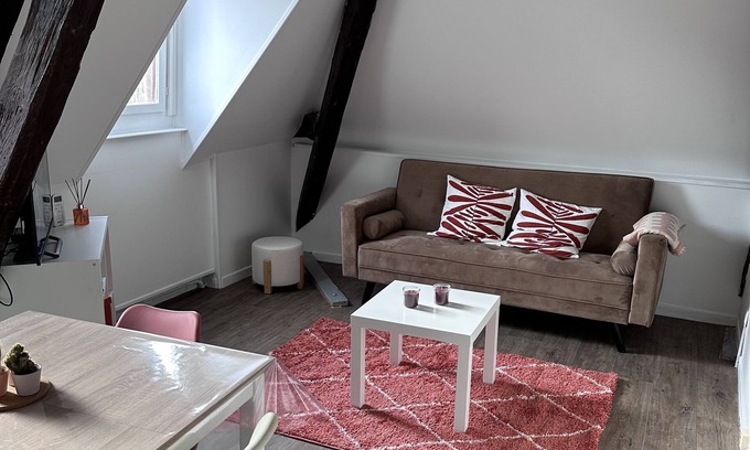 Auxerre Apartamento | Le Saint Eusèbe
