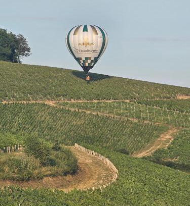 Chablis Casa | Le Saint Vincent
