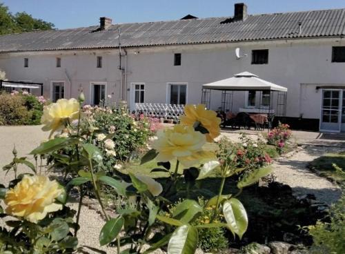 Montreuil-Bellay Cama Y Desayuno | Le Vieux Logis