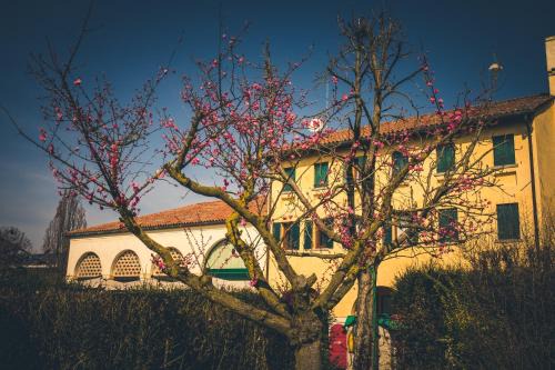 Cessalto Casa | Le Vigne Morosina