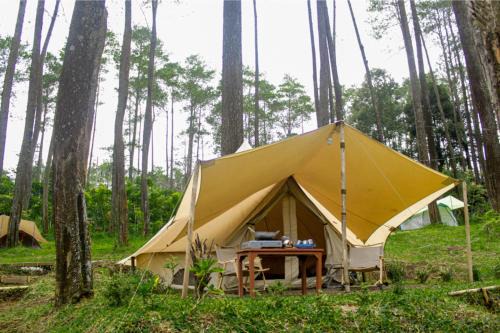Cikole Otro | Lembah Pinus Cikole
