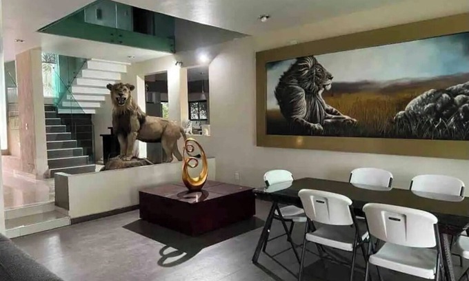 Tlajomulco de Zuniga Cabaña | Casa leon
