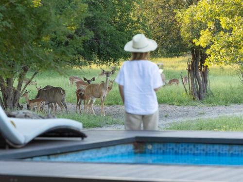 Motopi Cabina | Leopard Plains