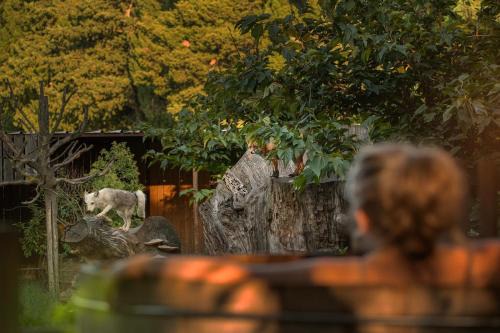 Saint-Andiol Cabina | Les Animaux et Marino