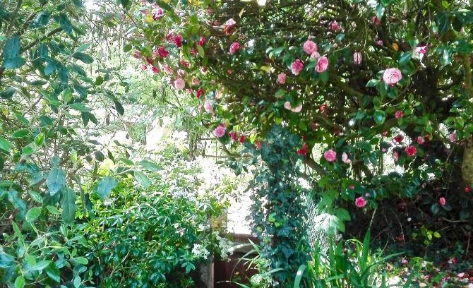 Rochefort-en-Terre Casa | Les Camelias