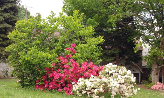 Droue-sur-Drouette Cama Y Desayuno | Les Chambres d'hôtes - La Closerie