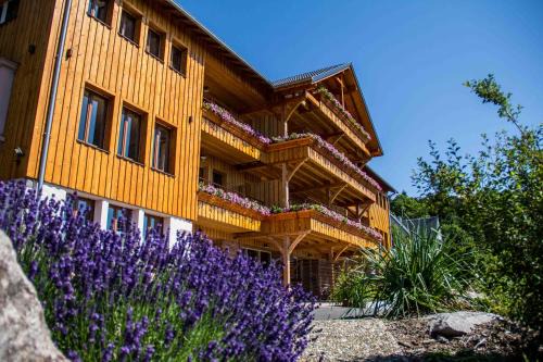 Sainte-Marie-aux-Mines Casa | LES GÎTES D'ADELSPACH - Gîtes 4 étoiles Nature & Spa