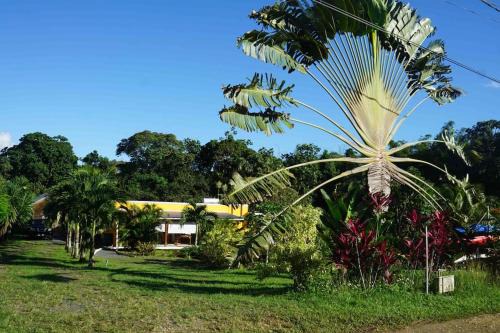 Sainte-Rose Casa | Les gîtes "La belle verte"