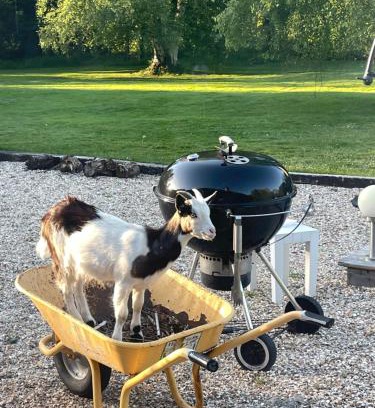 Saint-Gatien-des-Bois Casa | Les Gites de Claire