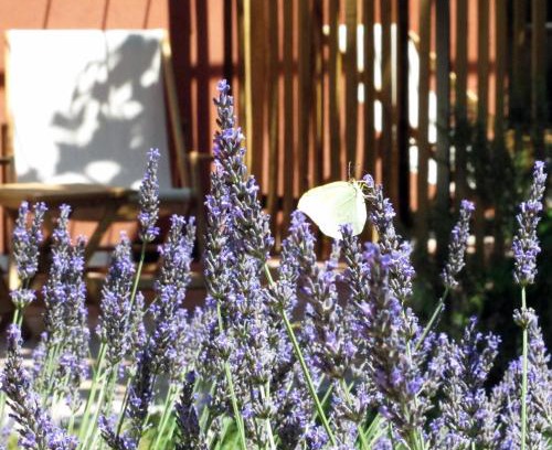 Besse-sur-Issole Cama Y Desayuno | Les Pierres Sauvages